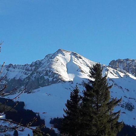 Chalet Allmegrat Adelboden Exterior foto