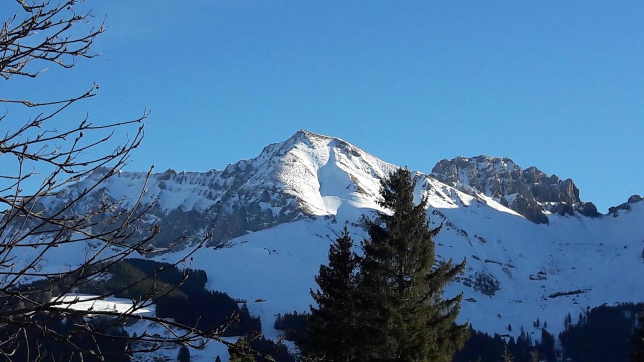 Chalet Allmegrat Adelboden Exterior foto