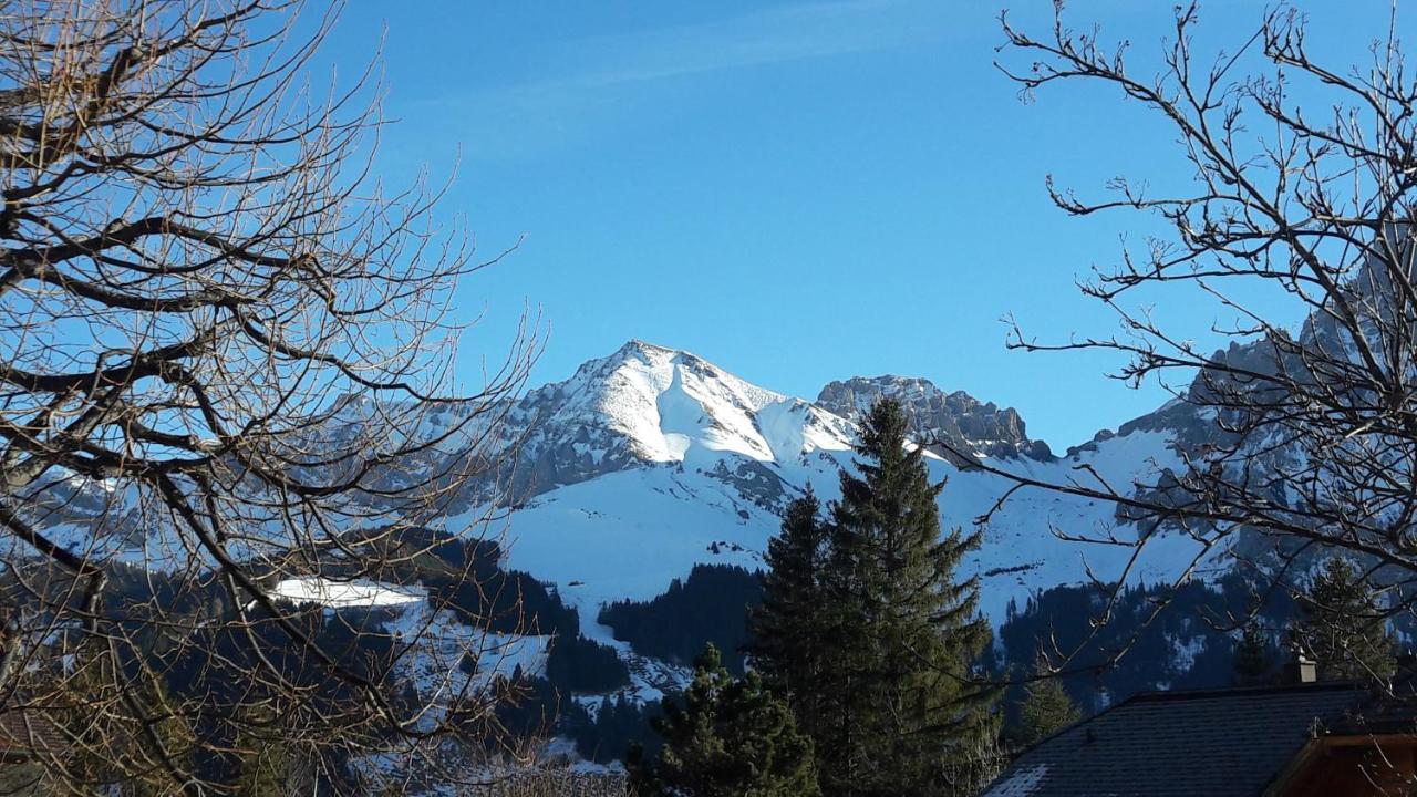 Chalet Allmegrat Adelboden Exterior foto