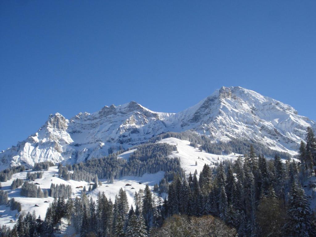 Chalet Allmegrat Adelboden Exterior foto