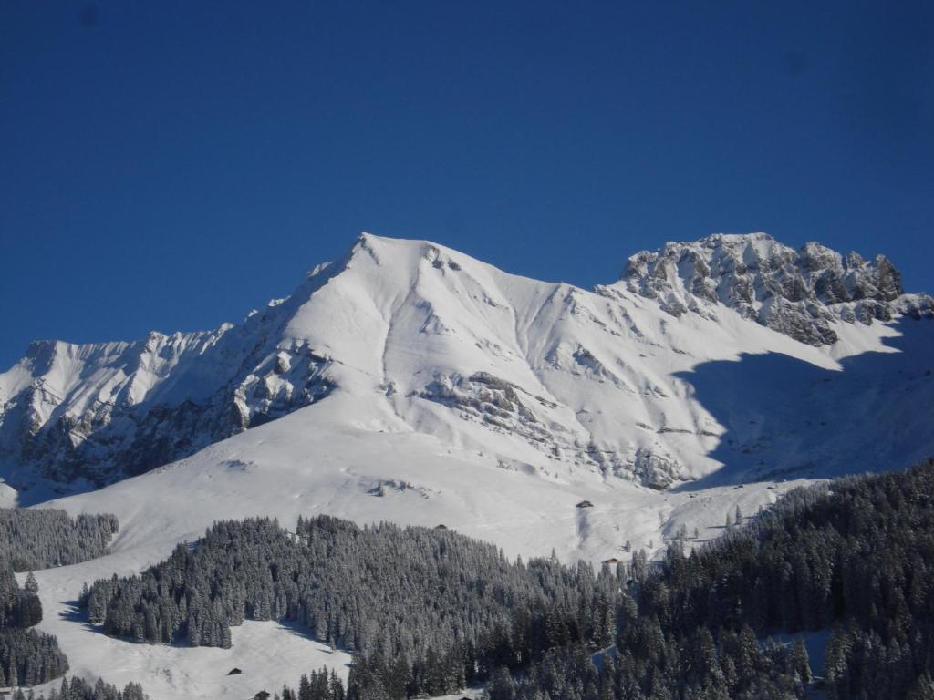 Chalet Allmegrat Adelboden Exterior foto