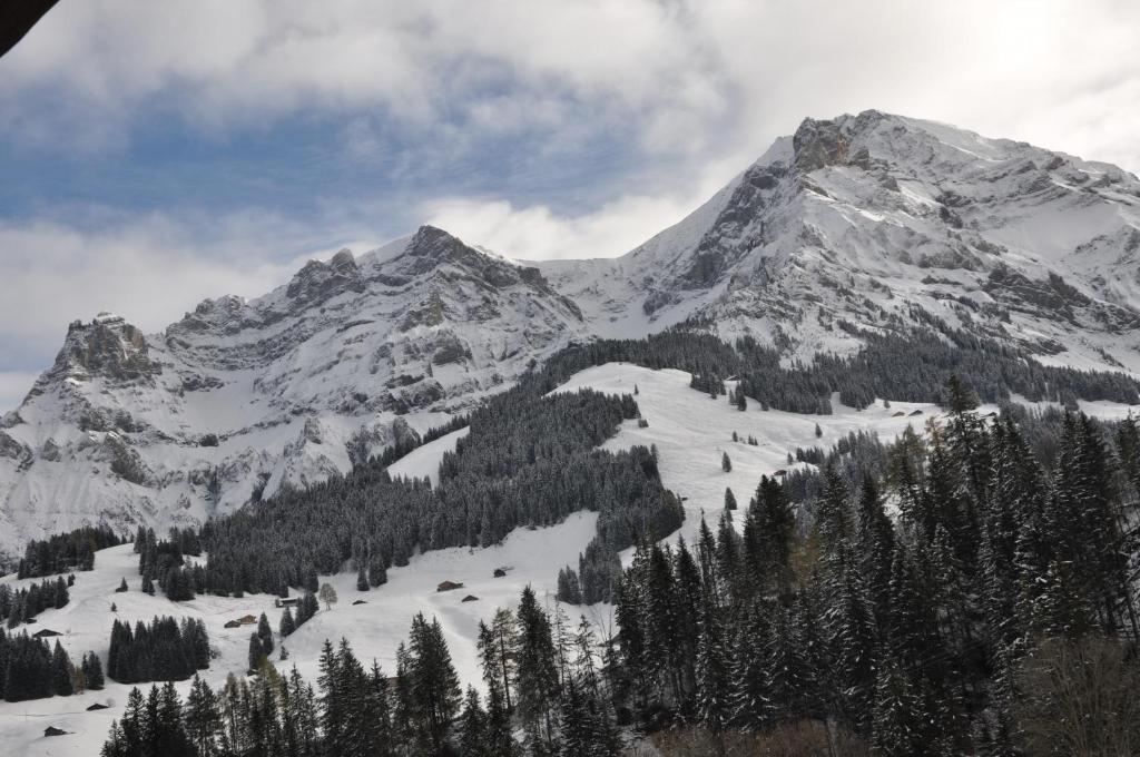 Chalet Allmegrat Adelboden Exterior foto