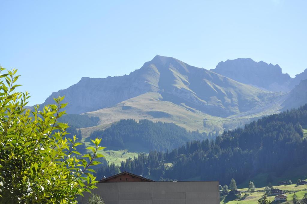 Chalet Allmegrat Adelboden Exterior foto