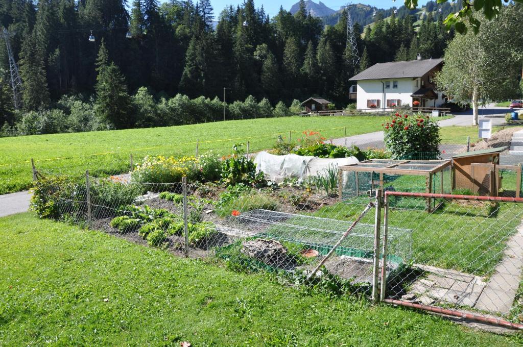 Chalet Allmegrat Adelboden Exterior foto