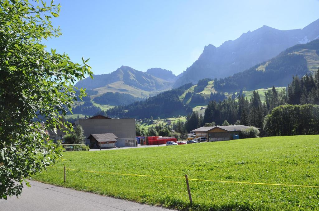 Chalet Allmegrat Adelboden Exterior foto